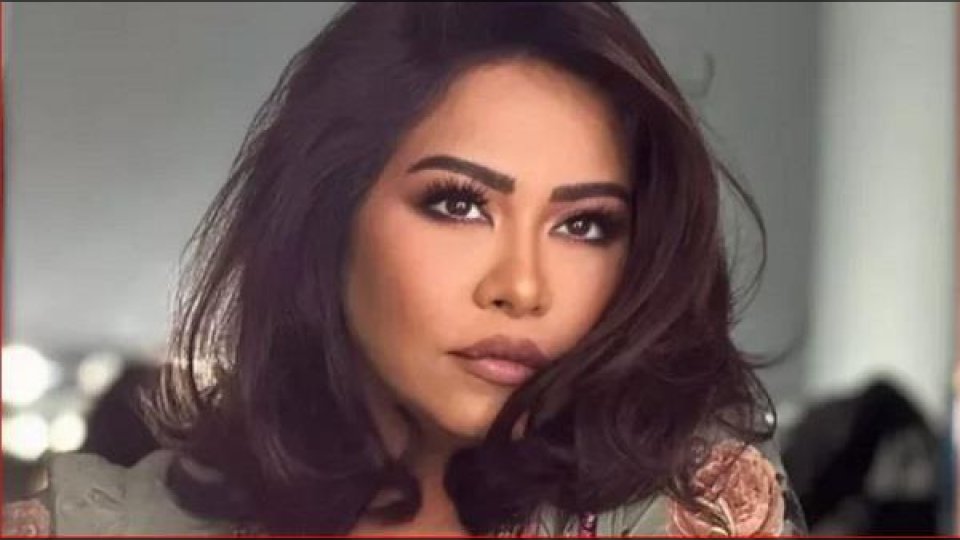 براءة شيرين عبدالوهاب من تهمة سب وقذف مدير حساباتها 1 براءة شيرين عبدالوهاب من تهمة سب وقذف مدير حساباتها